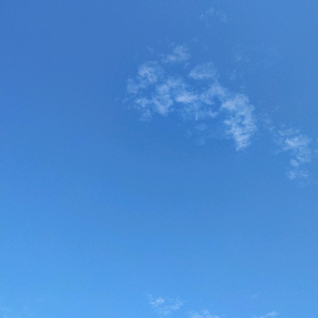 用户3118999495900
