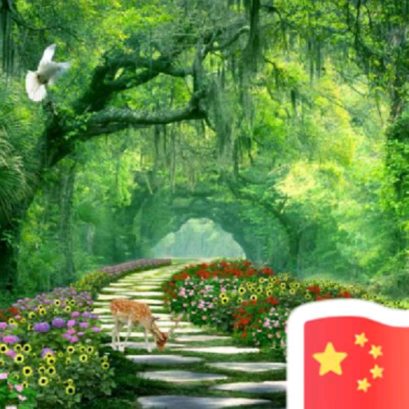 🦋ꦿ໊余生᭄🕊随心᭄ꦿᩚ٭