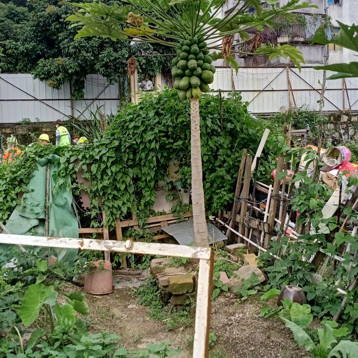 健康快乐一家人