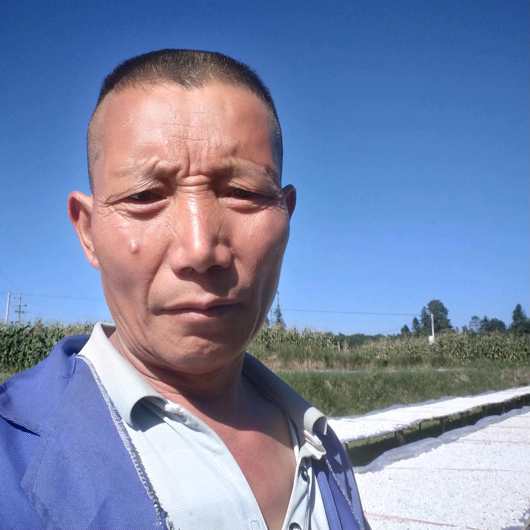 诚