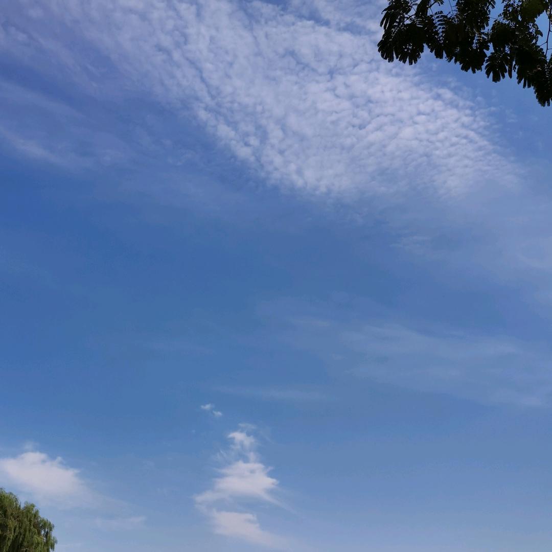 刘劉