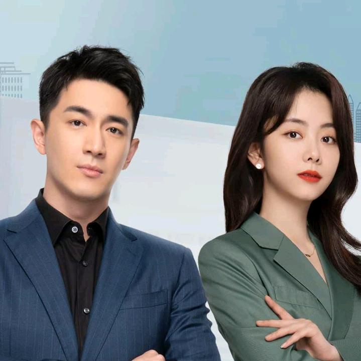 专业安装预制板砖胎膜