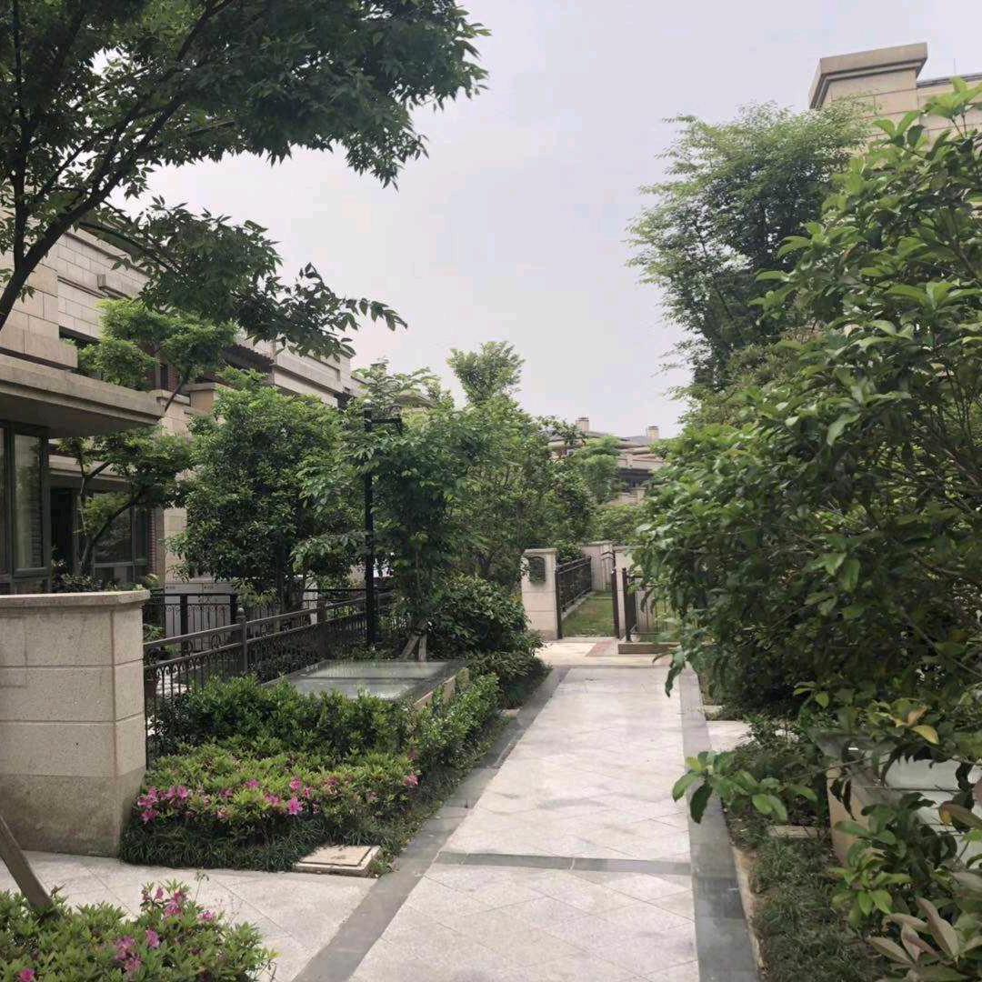 每天重置