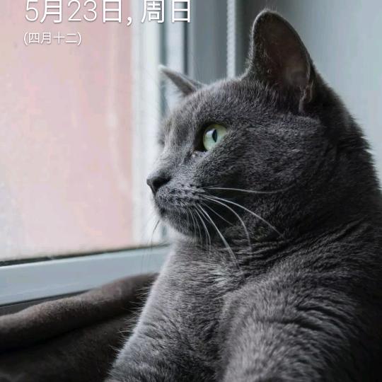 那年我36岁（资源回收）