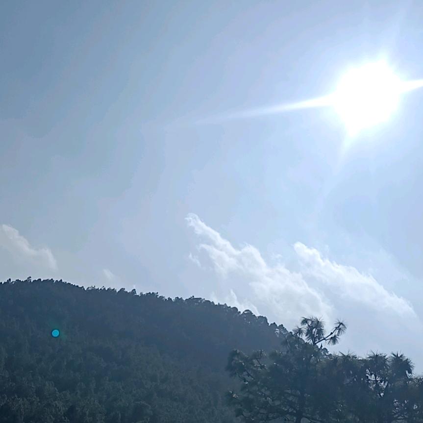琉璃花下伴你峰