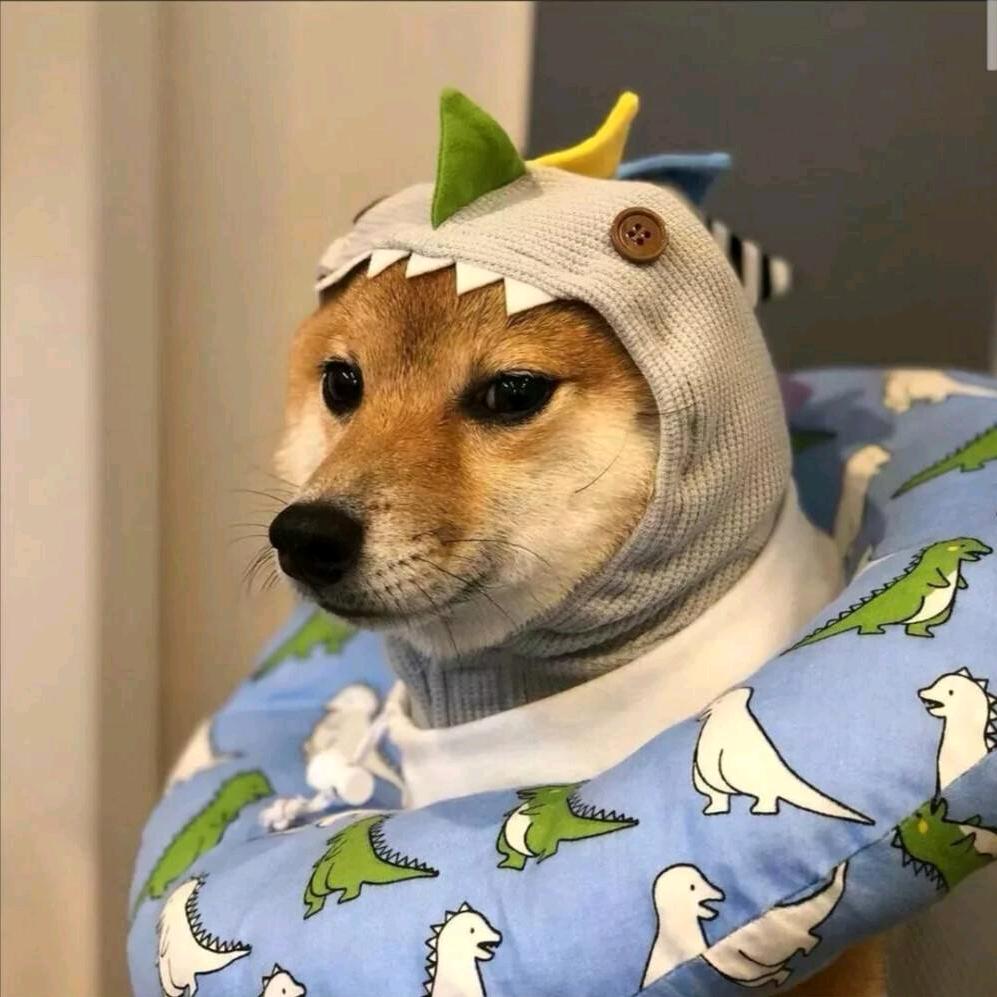 努力，奋斗