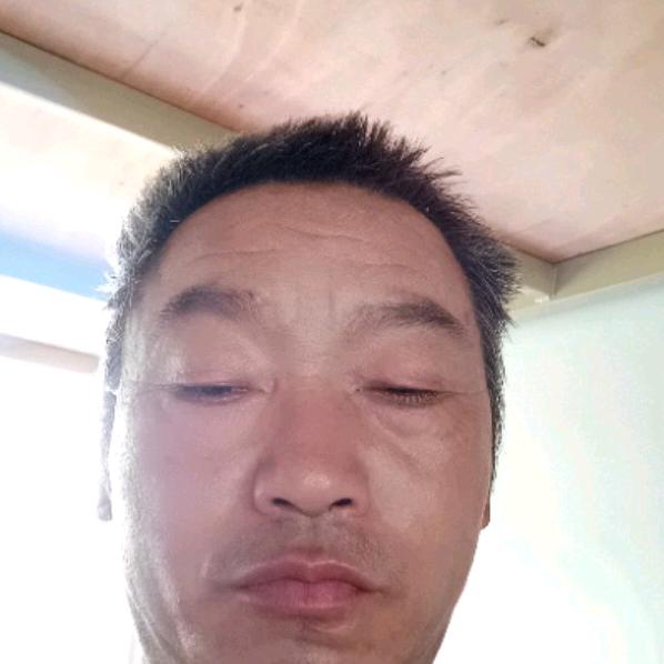 真诚的问侯
