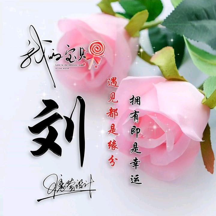 筱蝶（橱窗有好物）