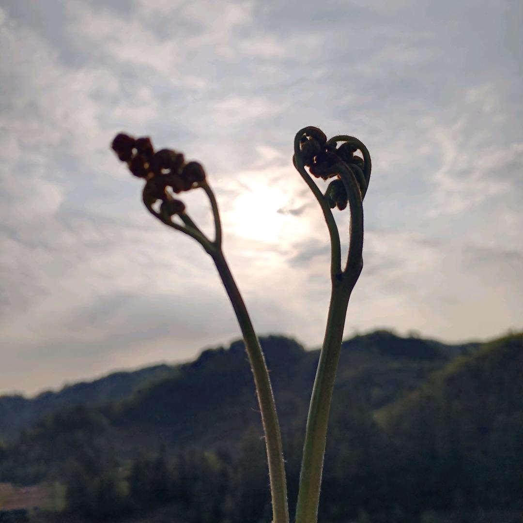 开开心心过好每一天