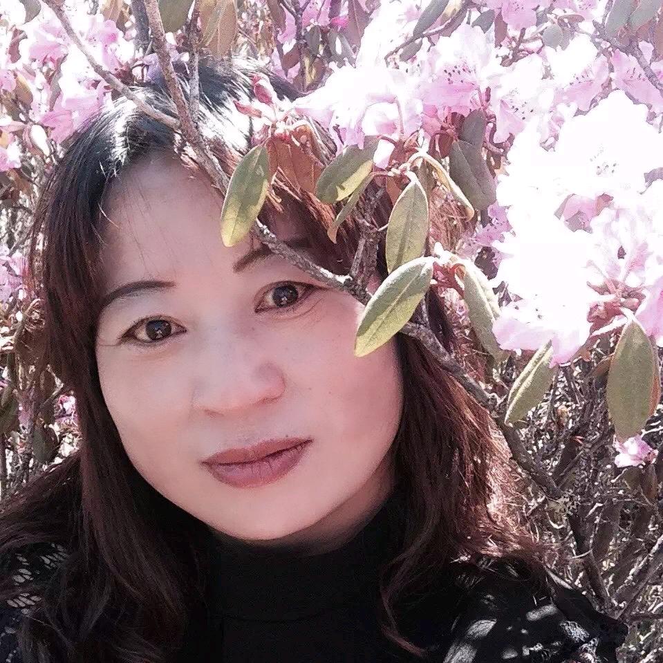 美丽哈巴