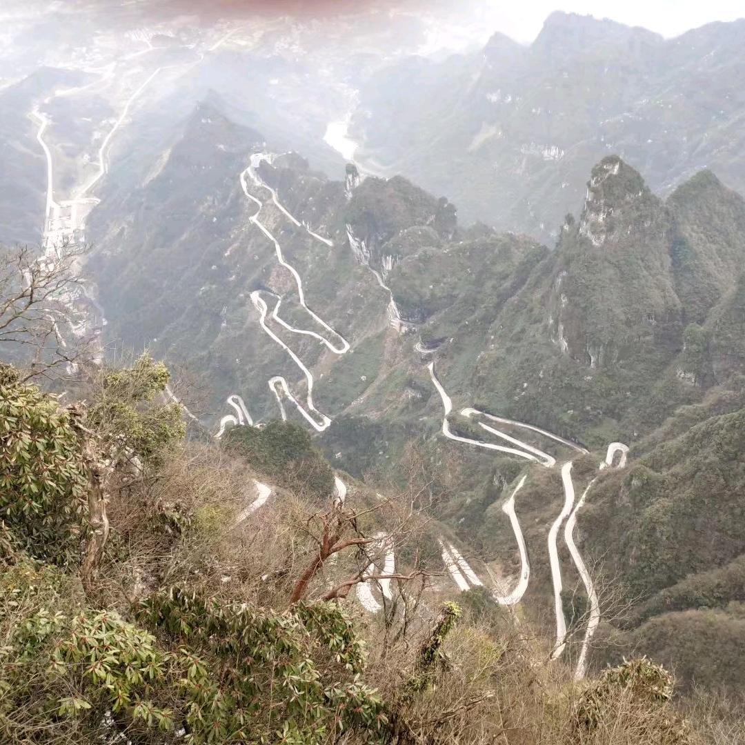 甘露醇