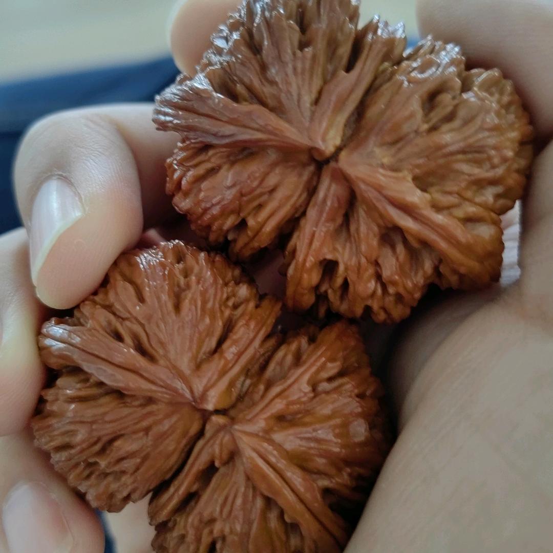 木玩