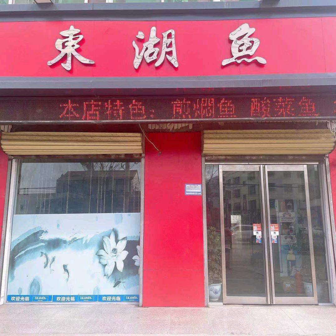 东湖鱼