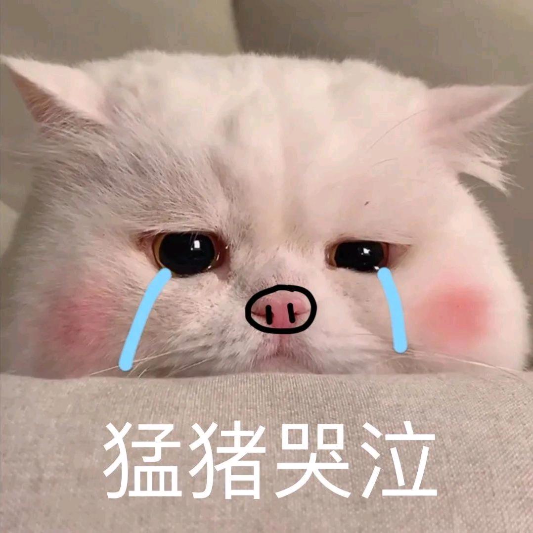 啾啾啾啾