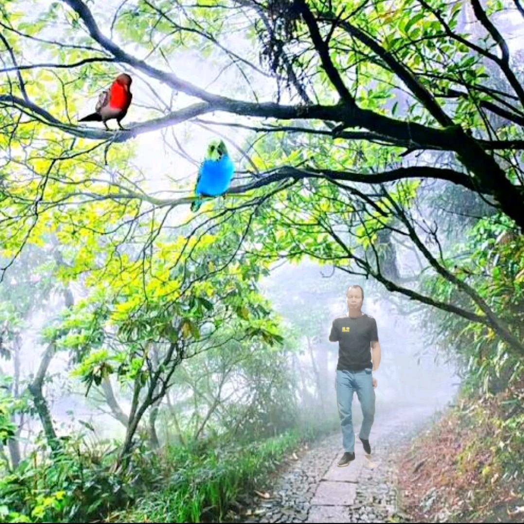 陌路