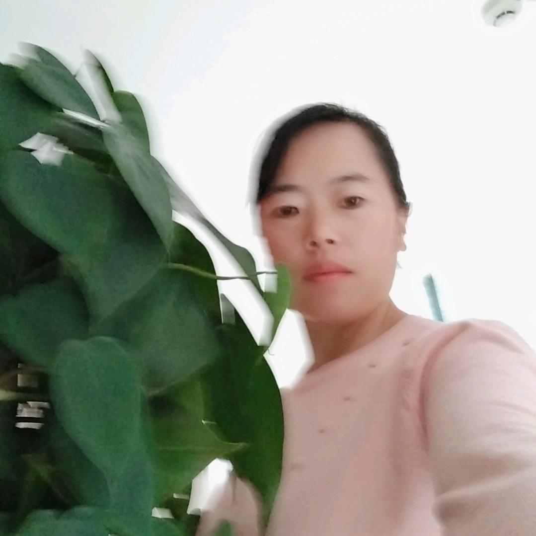 放弃一切，从头开始