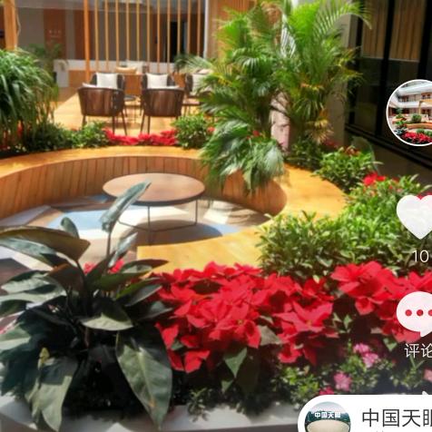 美丽家園