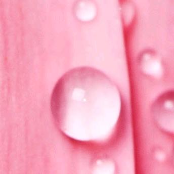 (玖家)玖颜( ˘ ³˘)♥神秘组织