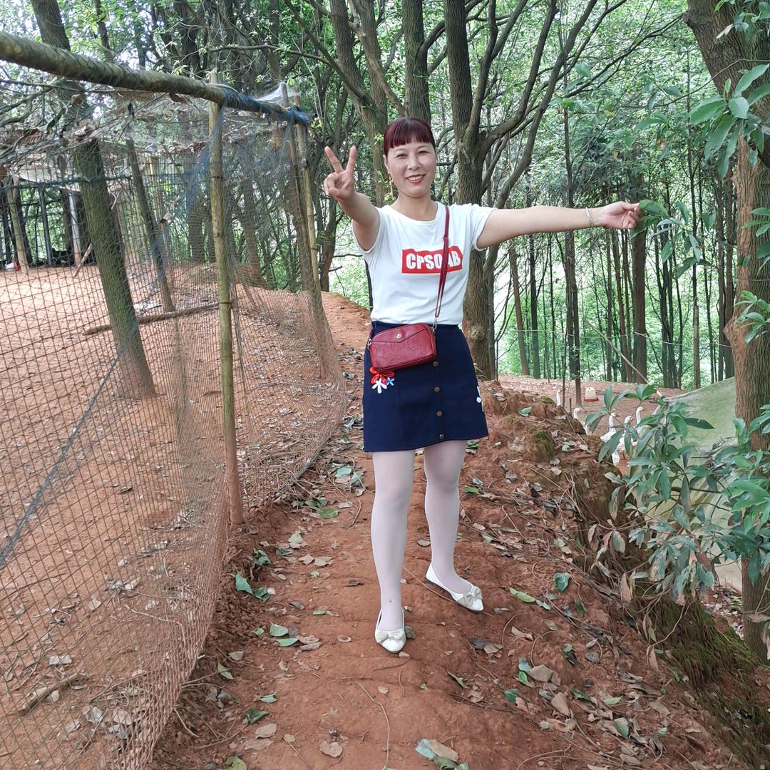 用户74028644红妹