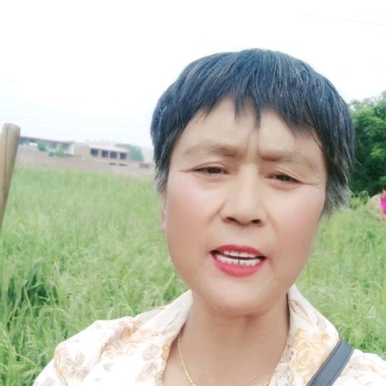 宸