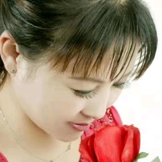 牡丹花开