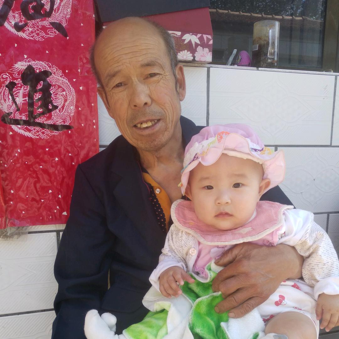 老杨的日常