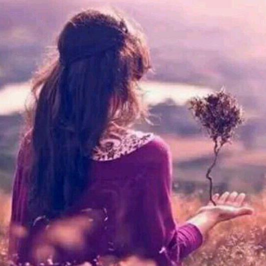 佳宝二手新能源汽车服务