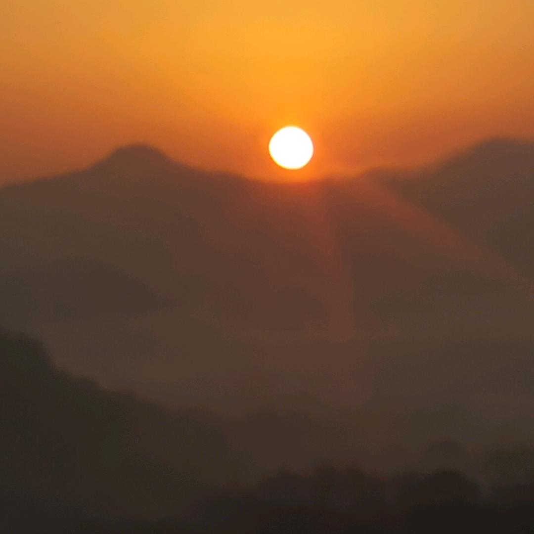 可以吃的苹果