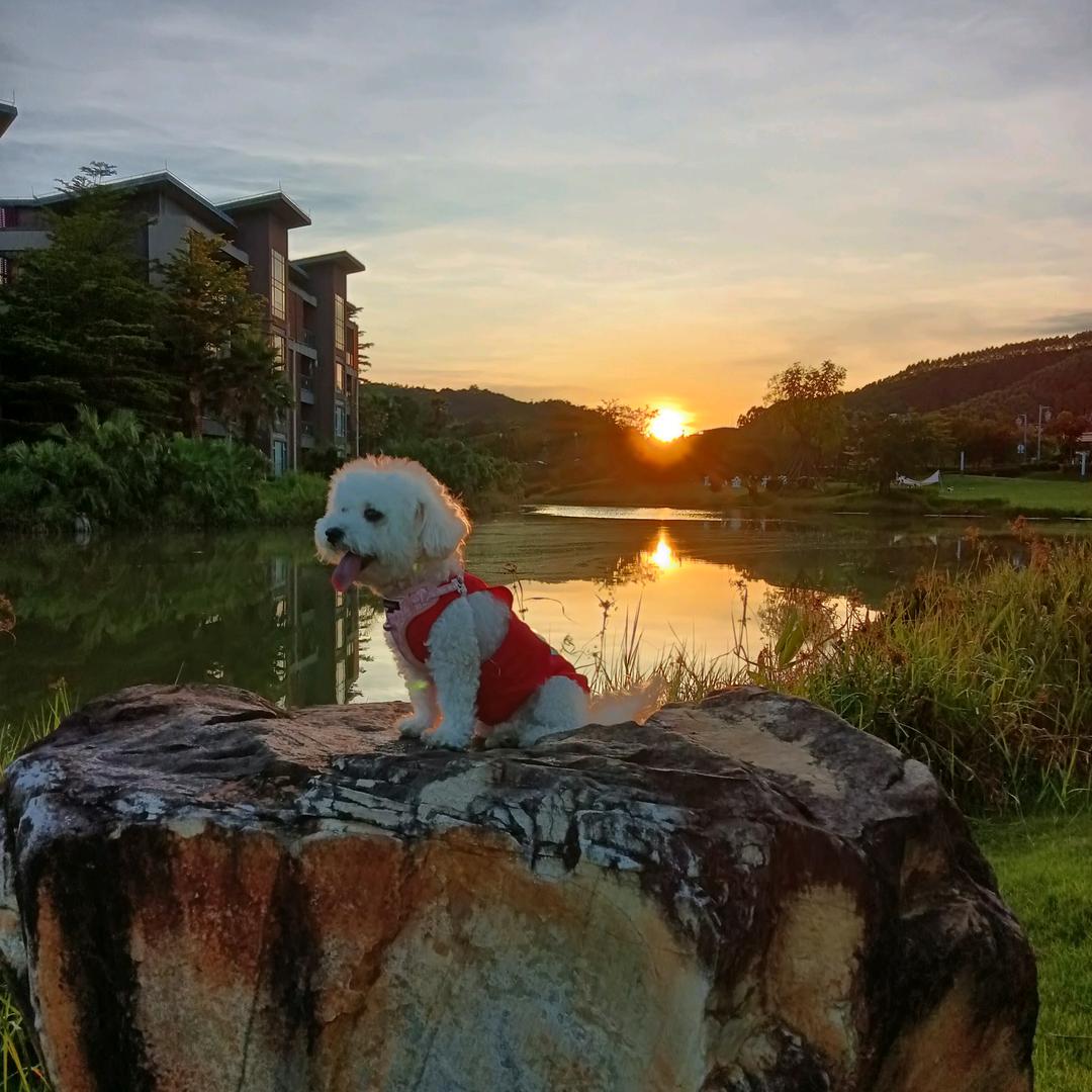 艾力克〖峰哥〗