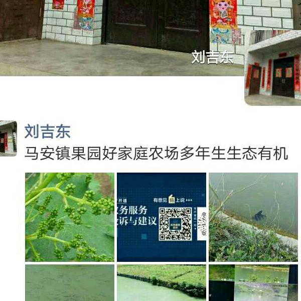 刘吉东