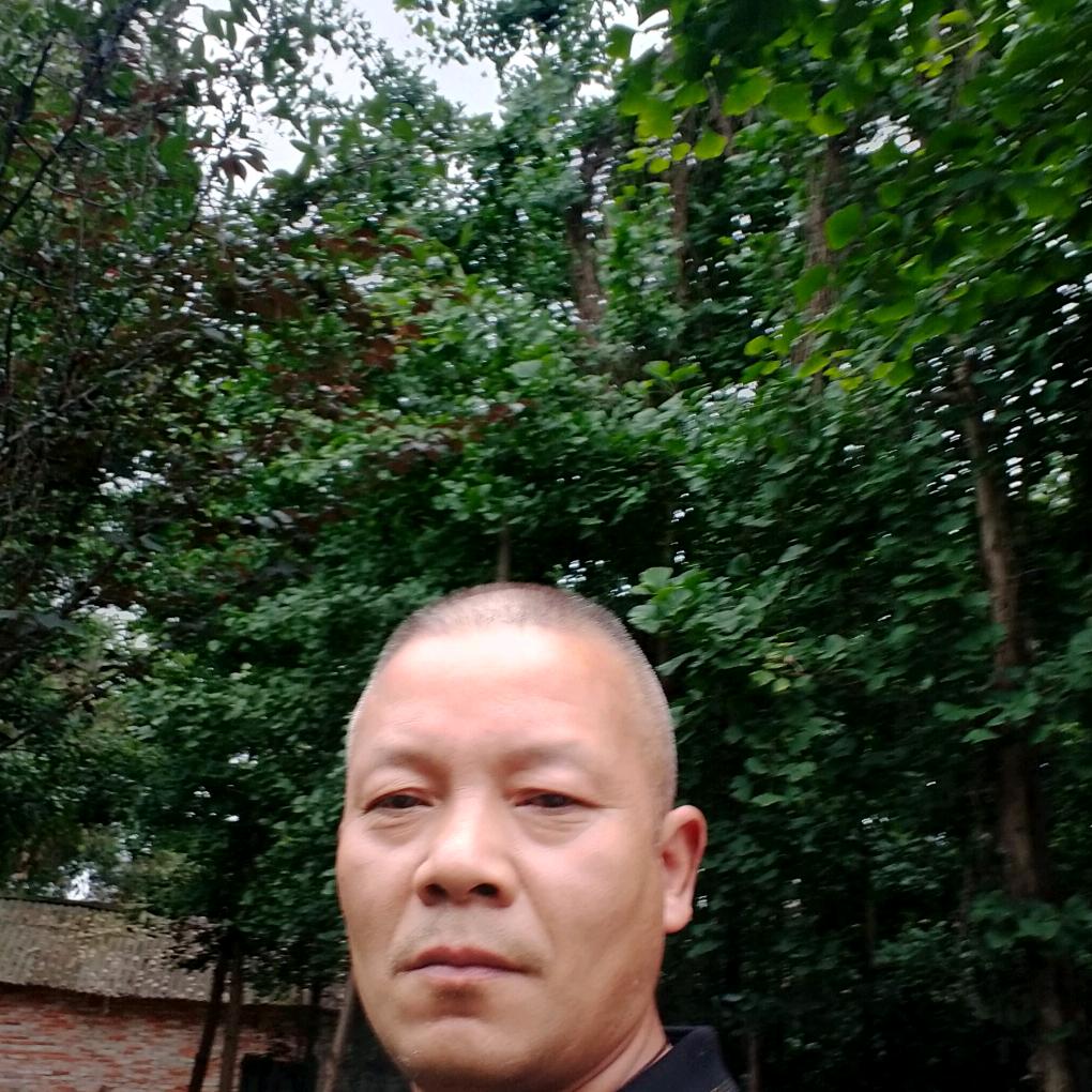老大