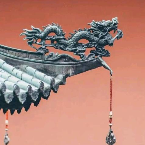 徐淑君