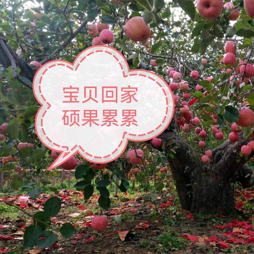 其他寻人-硕果累累