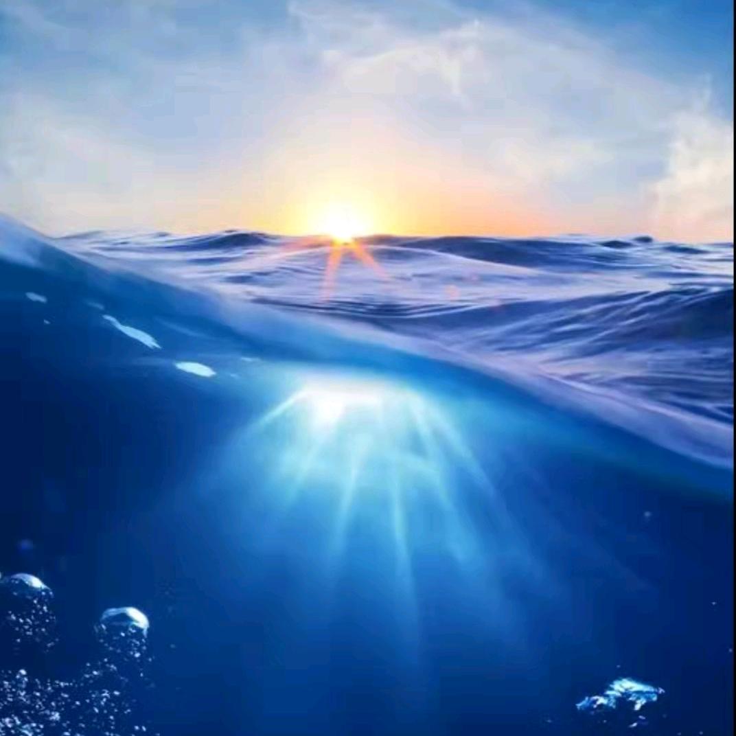 骑着神马追浮云