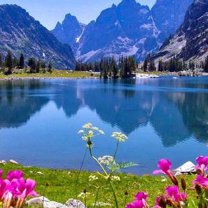 🌈山清水秀🌹