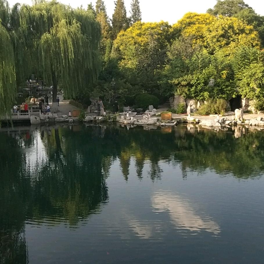小马哥