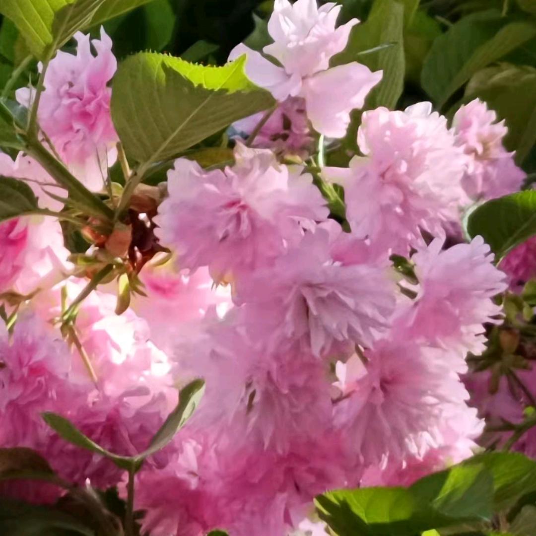 缘分让我遇到你