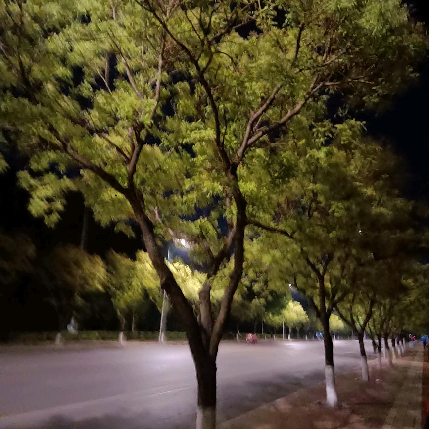 宇翔雨菲