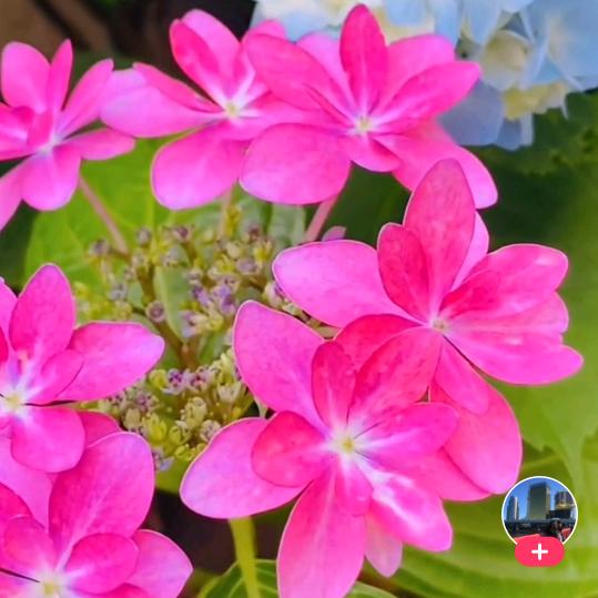 春暖花开