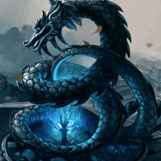 大奔哥
