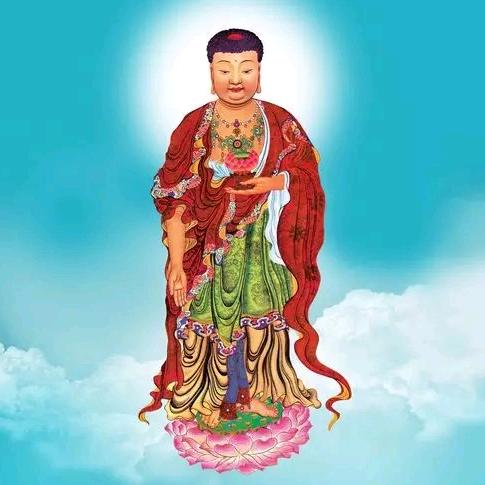 印芝