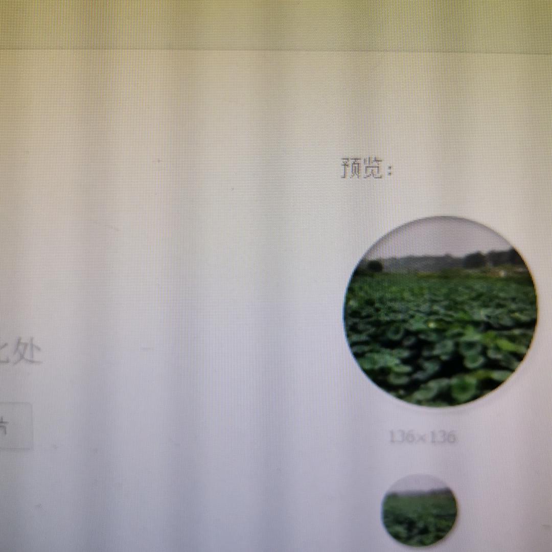 湘湖游子