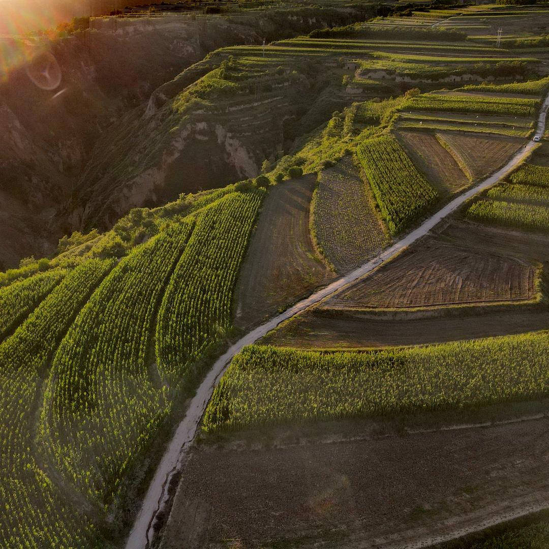 瑶池水