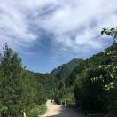 朱老师