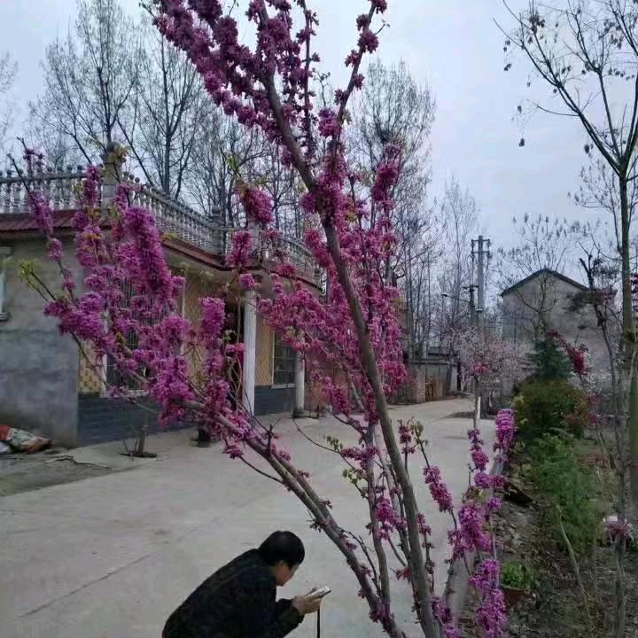 Ch随缘！活好当下！