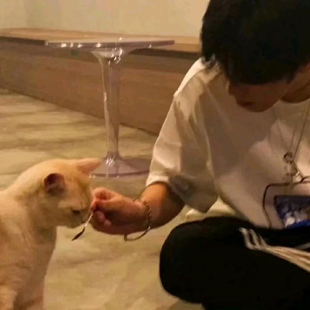 偶尔躲躲乌云.