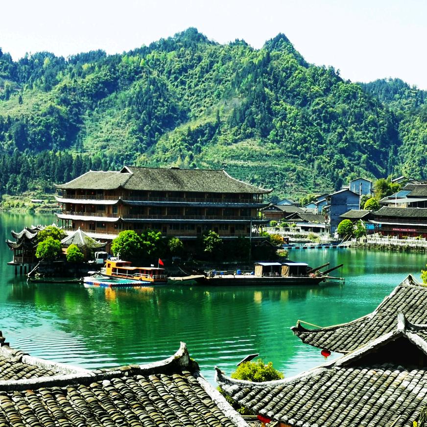 🌾哈哈哈哈