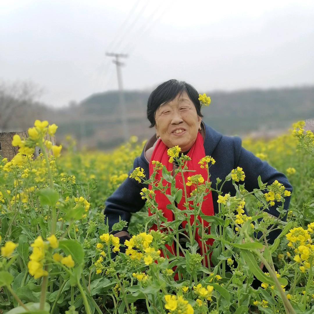富平天之大
