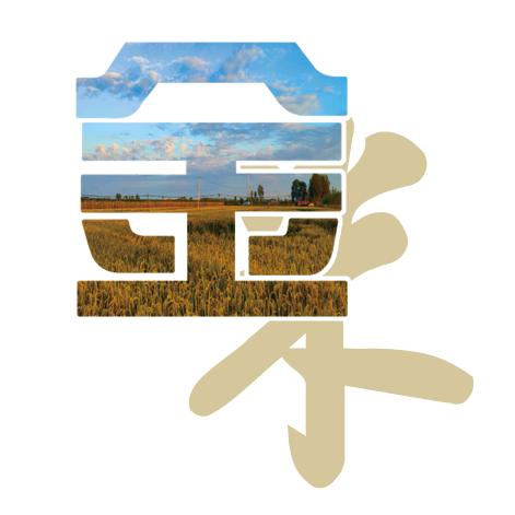 驻村工作队的书记