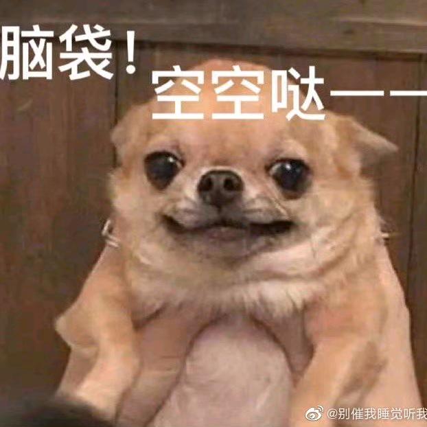 自愿上岸